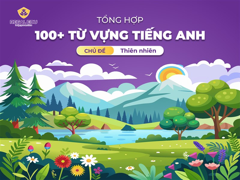 Tổng hợp 100+ từ vựng tiếng Anh về thiên nhiên đầy đủ nhất